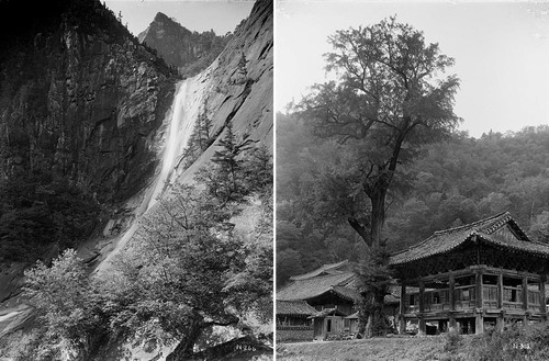국립수목원, 국회서 '100년 전 우리 식물 기록' 사진 전시