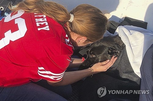美해안서 이안류 쓸려들어간 반려견, 1시간 해상수색 끝 구조