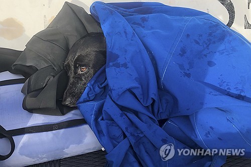 [샌디에이고 소방구조대 제공. AP=연합뉴스. 재판매 및 DB 금지]