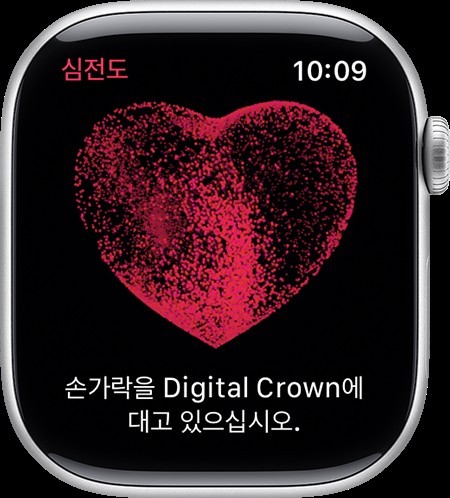 [인터뷰] "애플워치·에어팟은 심장·청력·수면 관리사"