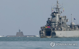 [고침] 정치(해군 향로봉함 화재는 안전수칙 위반 탓…작…)