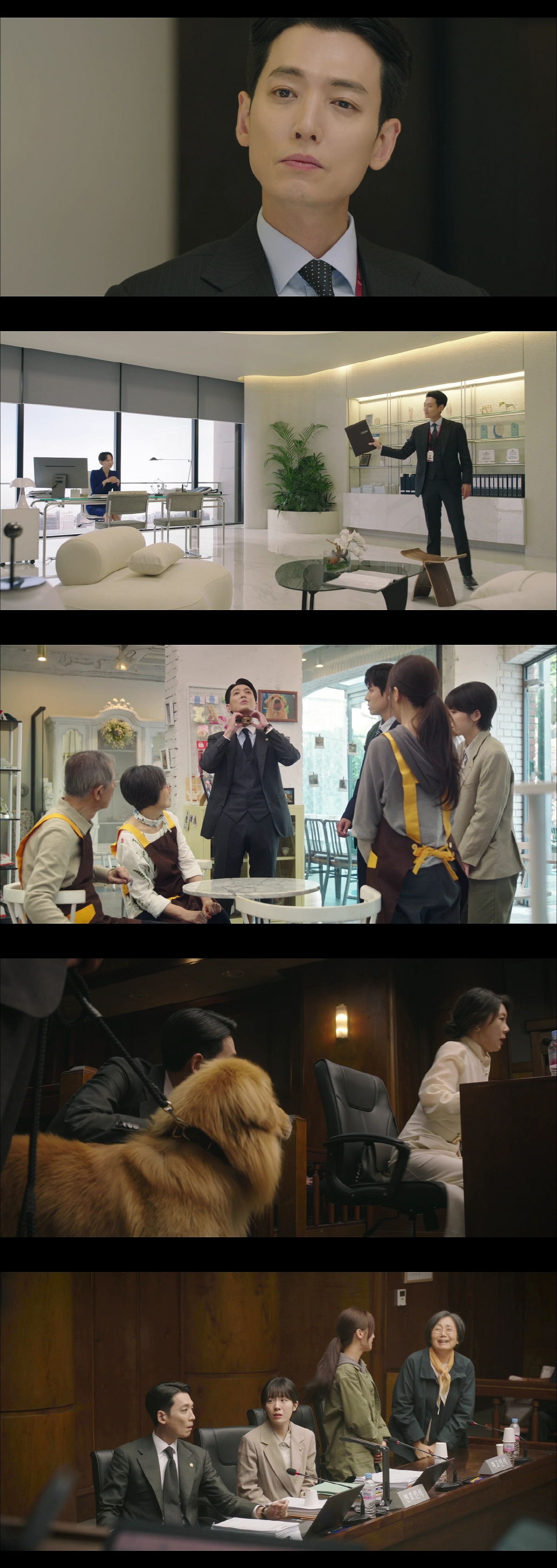 [SC리뷰] 정경호, 변호사 첫 신고식 성공..사상 초유 유기견 소유 분…