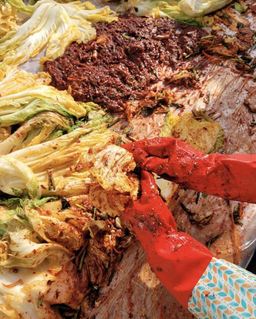 김장 때 식중독 감염?, 절임배추 대장균 위험 줄이려면…