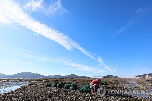 충북 대체로 맑음…낮 최고 5∼9도