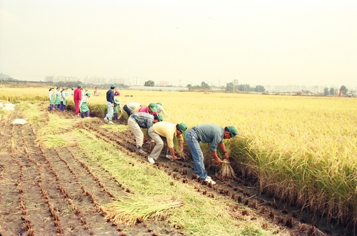 강서구, '우리동네 숨은 기억찾기-강서의 옛 사진 공모전' 개최