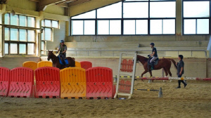 [전주소식] 전주승마장, 한국마사회 '말 복지' 인증