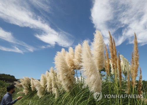 "울산 대기질 안정적"…울산보건환경연구원 평가보고서 발간