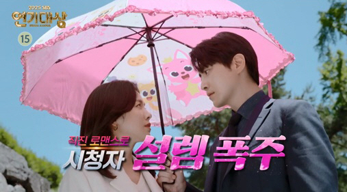 '나완비'→'모범택시3'..2025  SBS 연기대상 후보 풍성 "31일 생방송"