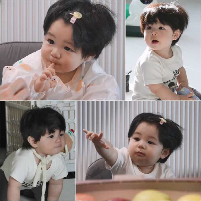 '심형탁子' 하루, 생후 300일에 혼밥 도전..앞머리 핀 꽂고 '귀염美…
