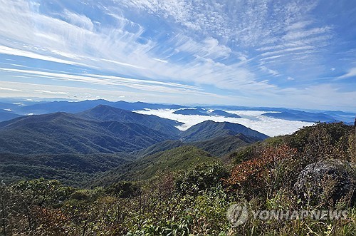 충북 구름 많고 낮부터 흐려져…낮 최고기온 8∼12도