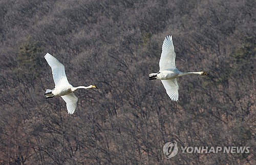 전북 흐리고 오전에 안개…낮 기온 10∼13도