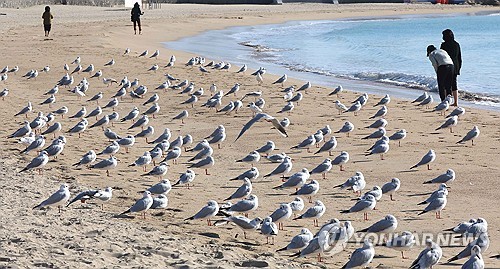 부산·울산·경남 낮부터 기온 회복…낮 최고 14도