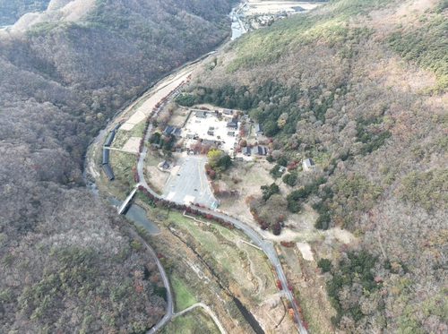 전남도, 장흥 보림사 비자림 복원…2028년까지 40억 투입
