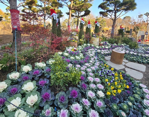 [임실군 제공. 재판매 및 DB 금지]