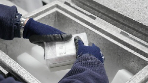 바이오빅데이터 내년 단계적 개방…정부, 의료정보 활용 확대