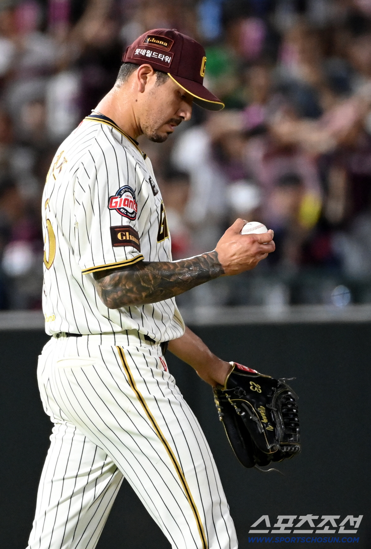 충격의 12연패, 비극의 가을야구 탈락...롯데 돈도 못썼다, 외인 원투…