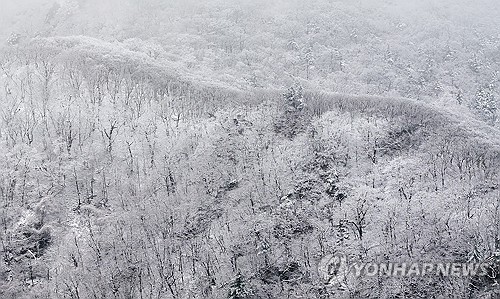[연합뉴스 자료사진]