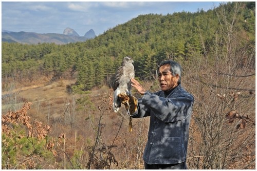 인류무형유산 '전통 매사냥' 전북 진안에서 13일 시연회