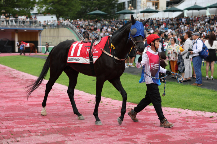 단 1분의 속도전…1200m 1등급 스프린트 결전, 누가 웃을까