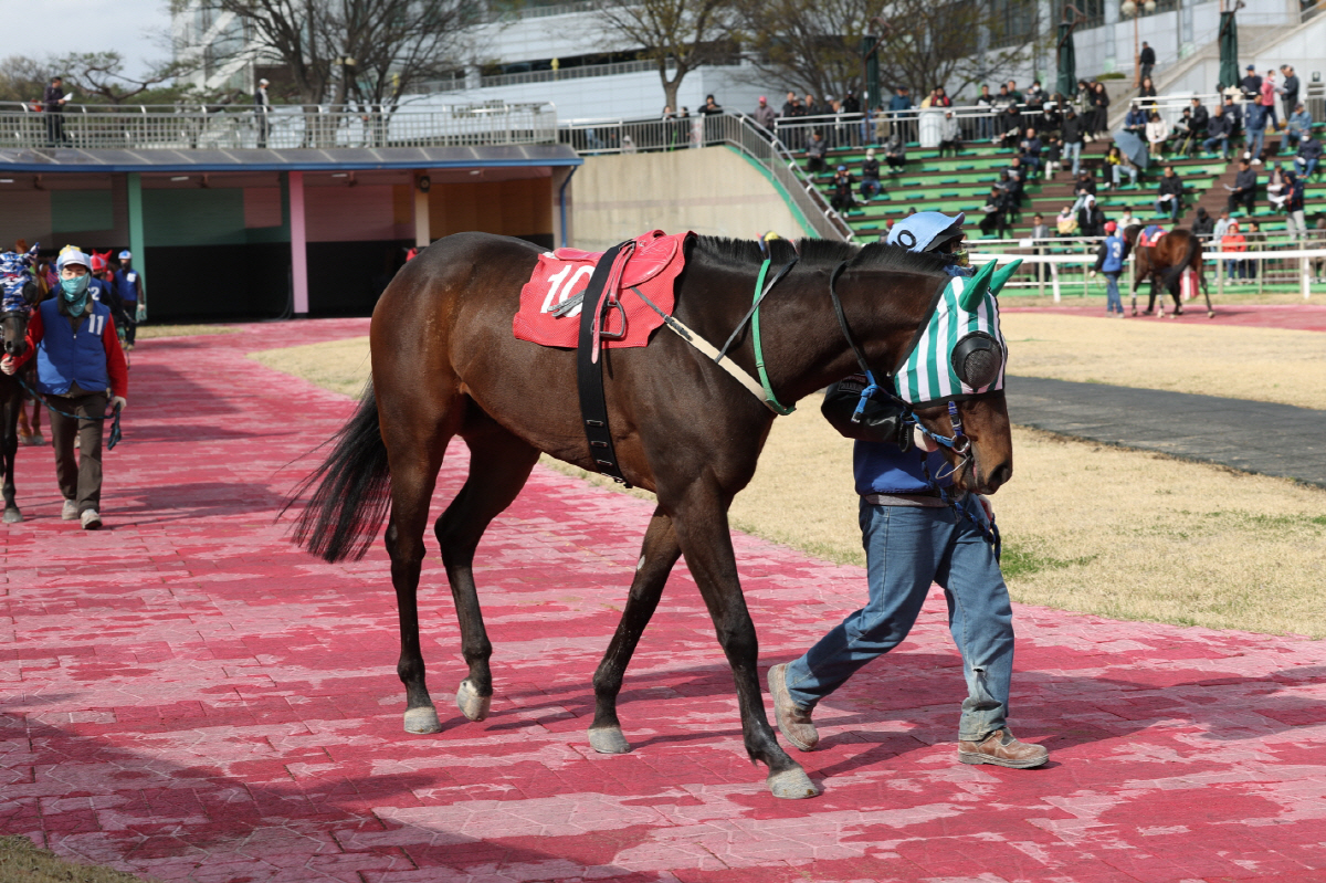 단 1분의 속도전…1200m 1등급 스프린트 결전, 누가 웃을까