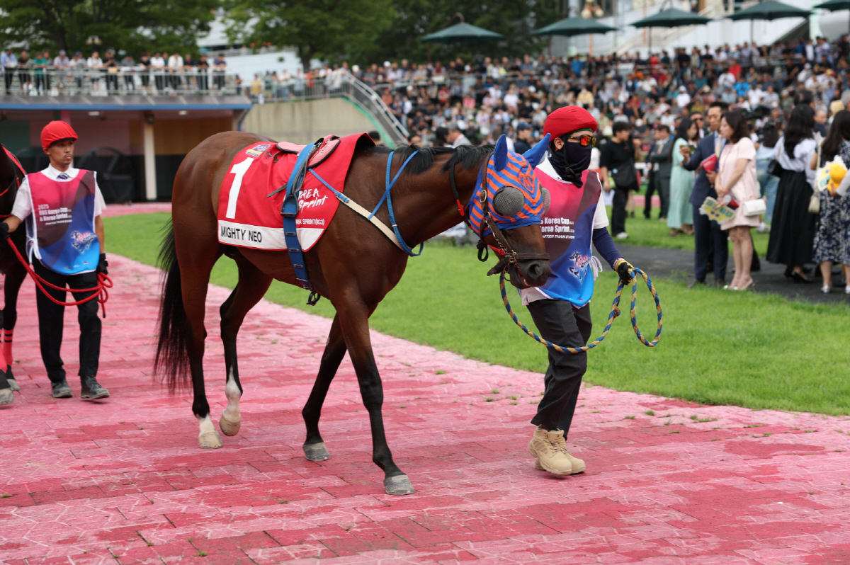 단 1분의 속도전…1200m 1등급 스프린트 결전, 누가 웃을까