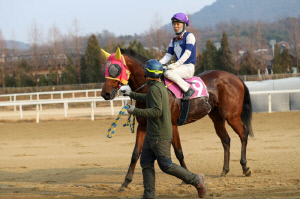 상승세 무섭네…데뷔 후 '우승확률 75%' 태양의전사, 또 우승했다