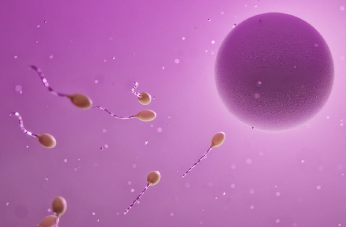 암 유전자 정자 기증에 유럽 '발칵'…암 진단받거나 이미 사망자 나와