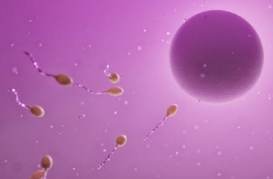 암 유전자 정자 기증에 유럽 '발칵'…암 진단받거나 이미 사망자 나와