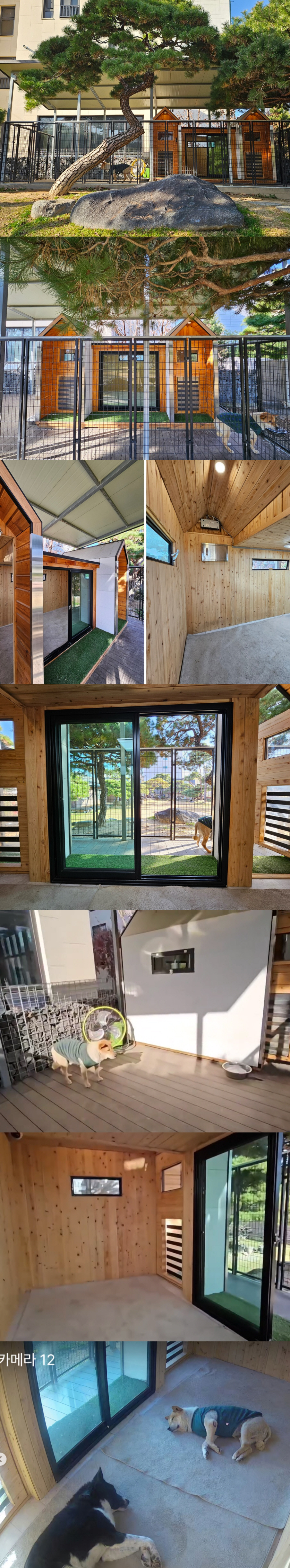 "우리집보다 넓어" 박세리, 초호화 견사 지었다..온돌→통창까지 '럭셔리…