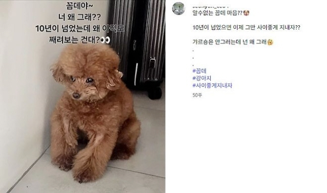 키, 오늘 '나혼산'·'놀토' 줄줄이 불참..주사이모 관련 NO, "美 …