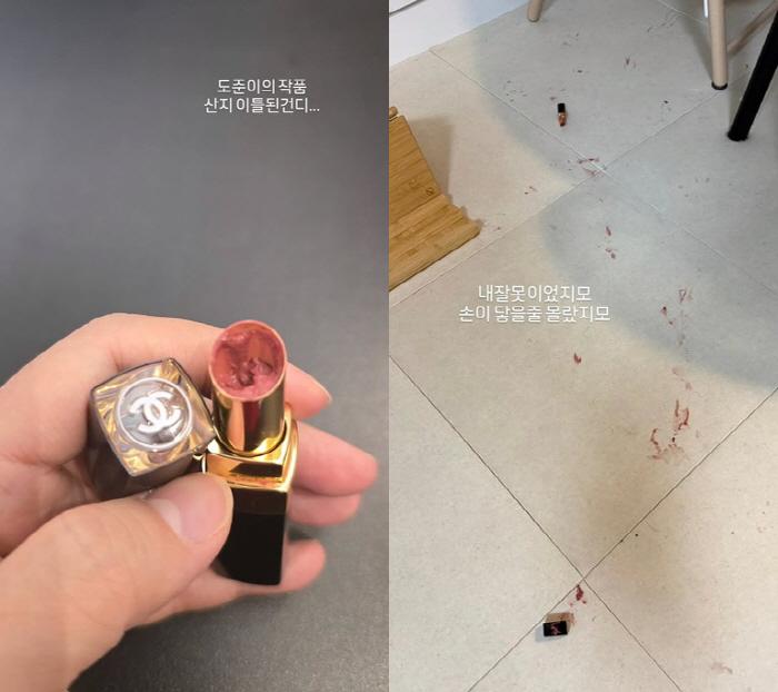 '오형제맘' 정주리, 子이 망가뜨린 샤넬에 절규 "산지 이틀 됐는데"