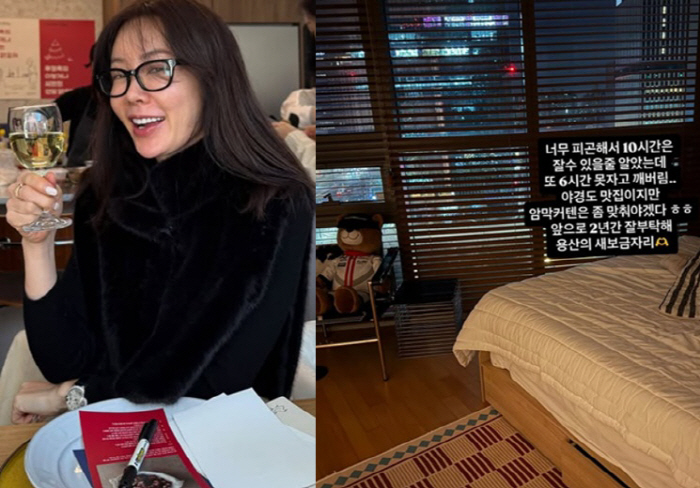 안선영, 이사 간 '용산 새 집' 깜짝 공개 "야경 맛집"