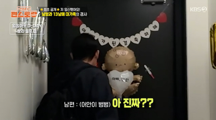 '난소나이 37세' 남보라, 7개월 만 임신에 감격 "3mm 아기집, 태…