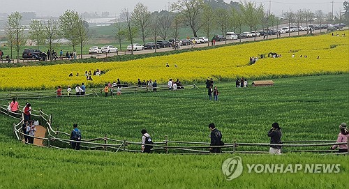 '축제가 효자'…고창군, 봄철 생활인구 증가 뚜렷