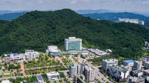 원주시 노인 일자리 모집에 1만 명 몰려…경쟁률 1.28대 1 기록