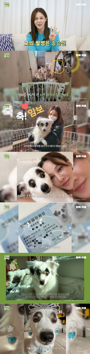 아이비, 송승헌과 가족 되기까지 3개월의 시간 “지금은 제 껌딱지” (함께 키움)