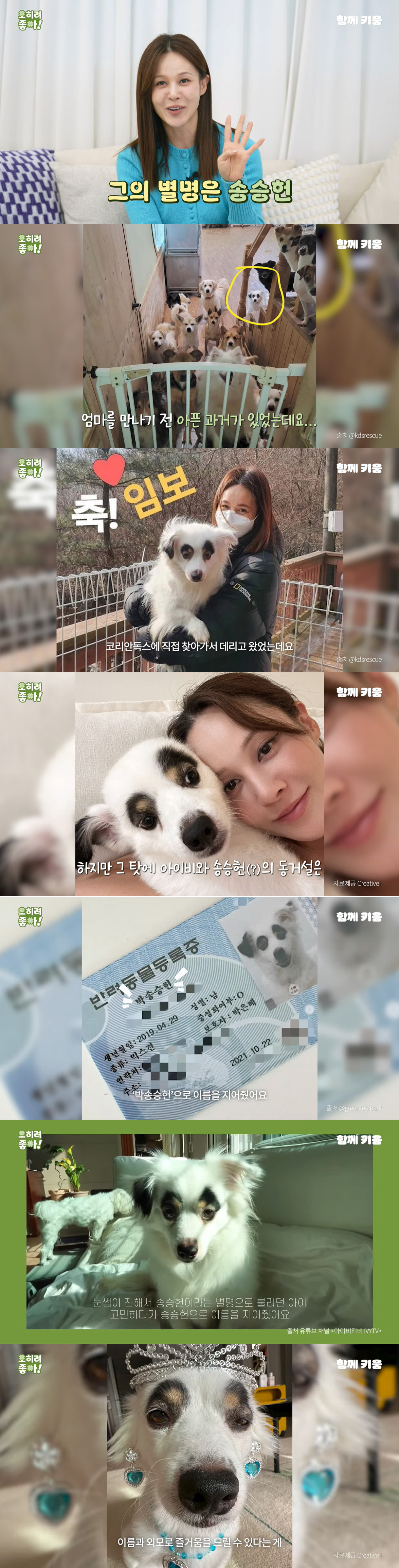 아이비, 송승헌과 가족 되기까지 3개월의 시간 “지금은 제 껌딱지” (함…