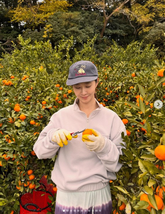 소녀시대 유리, '제2의 이효리' 따로 없네…제주서 귤 따는 청년농부 일…