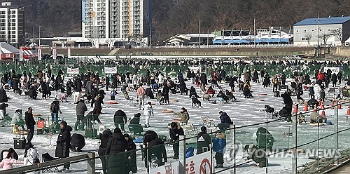 동물단체 "산천어축제·소싸움 동물학대…폐지해야"