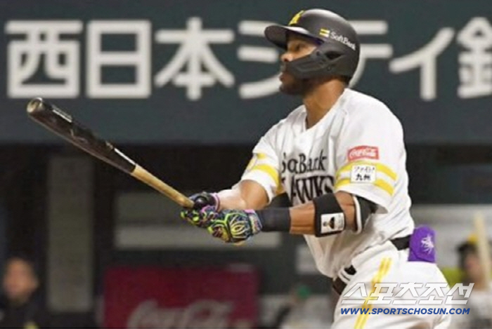 요미우리 출신 미국인 외야수는 떠날 수 없다, 소프트뱅크→일본 독립리그→…