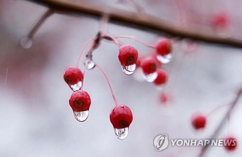 전북 흐리고 약한 비…낮 기온 6∼10도
