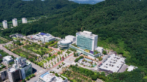 원주시, 민생회복 소비쿠폰 집행 최우수 지자체 선정