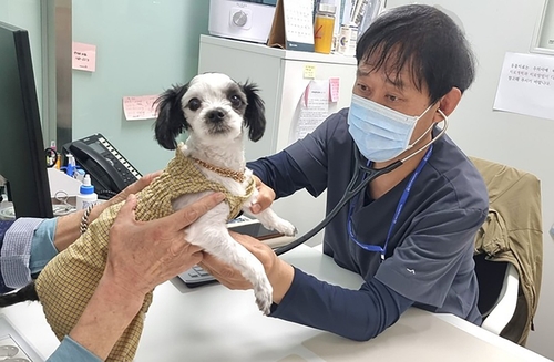 성남시립동물병원, 입양한 유실·유기동물로 진료대상 확대