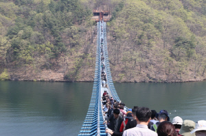출렁다리 놨더니…진천 초평호·농다리 11월까지 183만명 방문