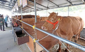 '횡성한우 경축순환농업' 모델, 농업기술보급 혁신 '최우수상'