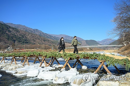 정선군, 옛 삶의 지혜 담은 '아우라지 섶다리' 재현