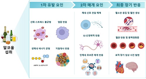 '딱 한잔'에도 심방세동 위험↑…"심혈관에 안전한 음주 없어"