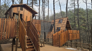 숲이 놀이터가 되다…노원구 '수락산 유아숲체험원' 재개장