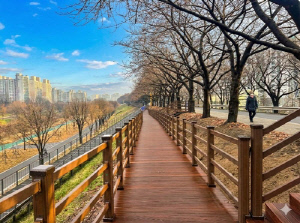 구로구, 도림천에 '보행데크·전망대' 조성