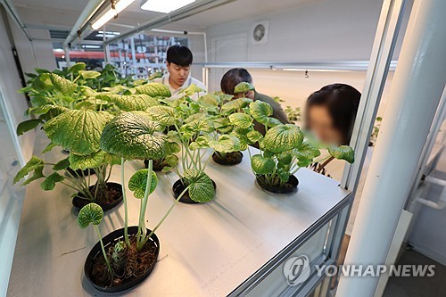 남원시, 청년창업형 대규모 스마트 농업단지 조성…240억 투입